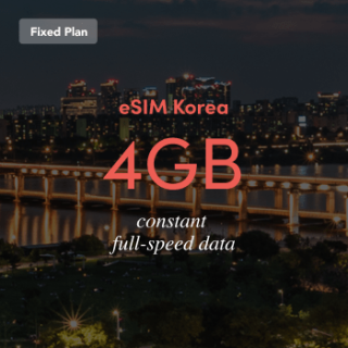 ESIM Korea, Prepaid Data From $9.9 | No.1 ESIM Store In Korea